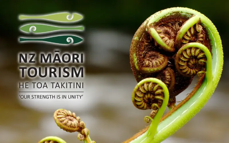 Matariki in Māori Tourism