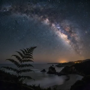 Milky Way galaxy visible over Rakiura Stewart Island coastline